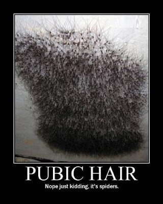 pubichair.jpg